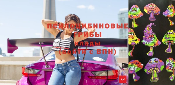 герыч Богородск