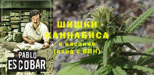 не бодяженный Богданович