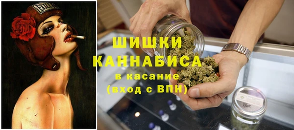 бутират Богородицк