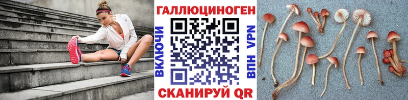 Псилоцибиновые грибы Psilocybe  Обь 